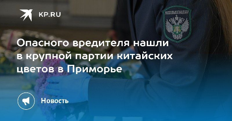В Приморье обнаружили опасного вредителя в партии цветов