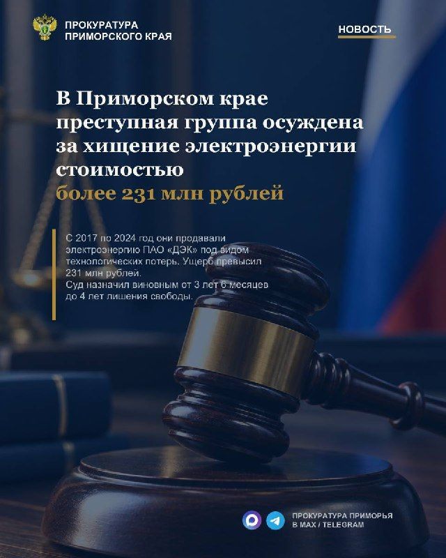 В Приморском крае преступная группа осуждена за хищение электроэнергии стоимостью более 231 млн рублей