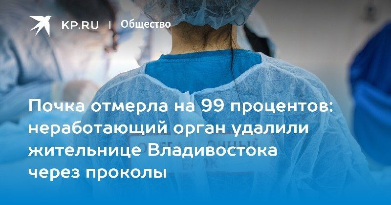 Первое удаление почки через проколы во Владивостоке — КП - Владивосток