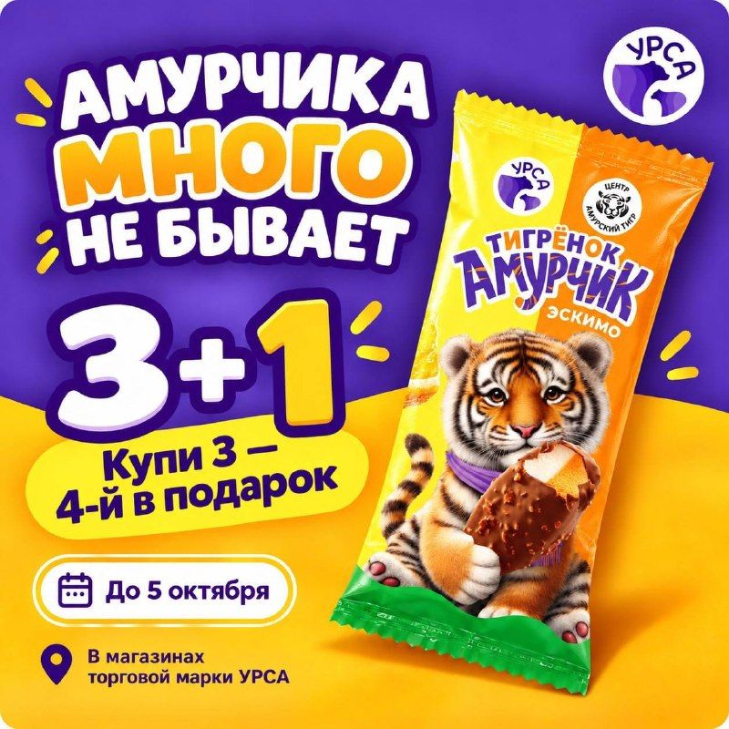 «Амурчика» много не бывает. — PrimaMedia.Приморье