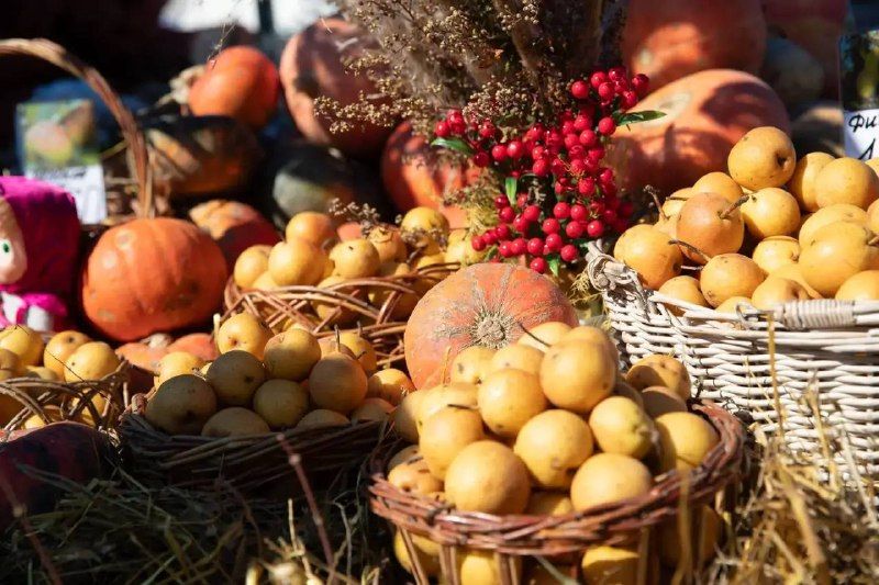 Во Владивостоке работают прилавки с фермерскими продуктами.