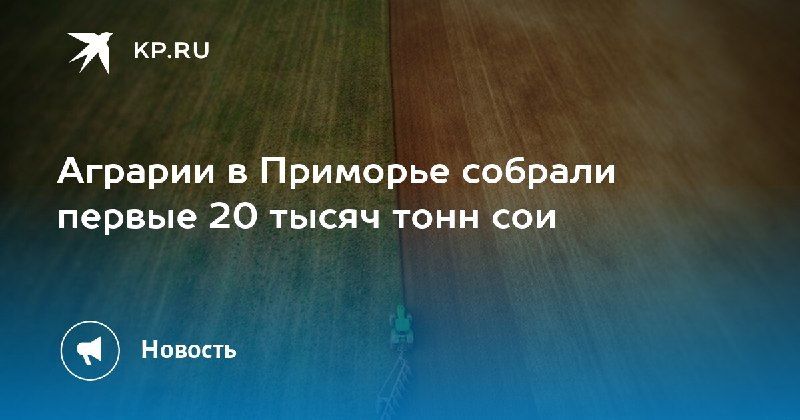 Сбор сои в Приморье стартовал — КП - Владивосток