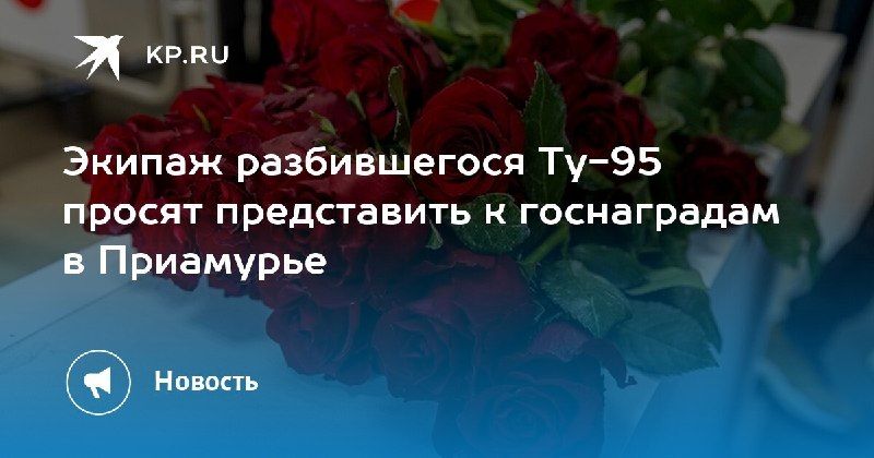 Экипаж разбившегося Ту-95 просят представить к госнаградам