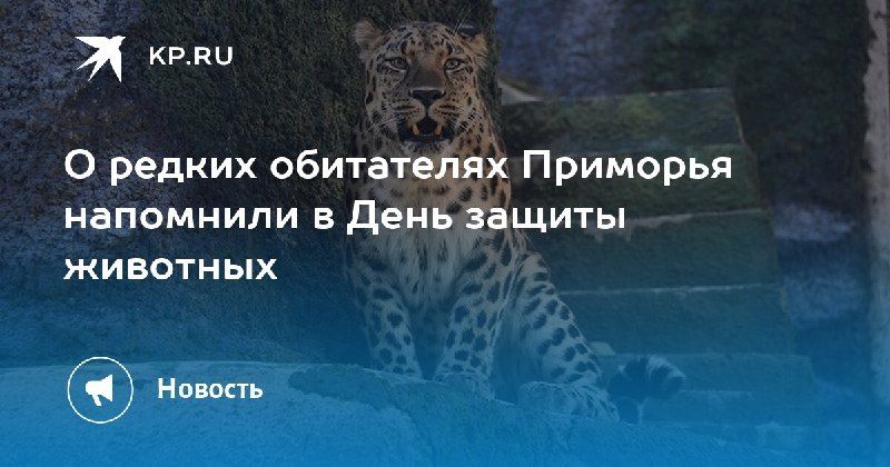 Во Всемирный день защиты животных минприроды Приморья рассказало о редких обитателях края — КП - Владивосток