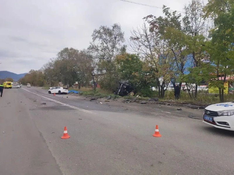 Пожилая пара на «Приусе» погибла в Находке, не пропустив на трассе «Ленд Круизер»