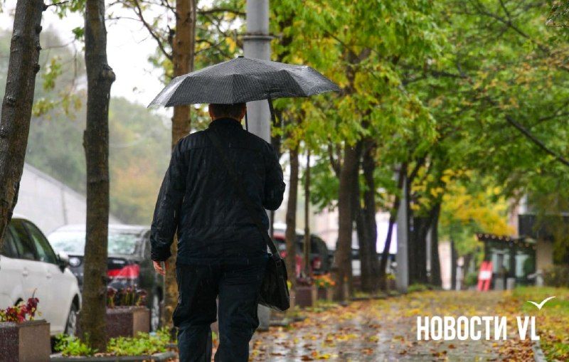 Доброе утро, Владивосток — Новости VL.ru | Владивосток