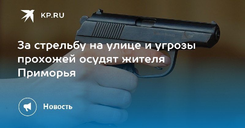 Стрельба и угрозы: жителя Приморья осудят за хулиганство — КП - Владивосток