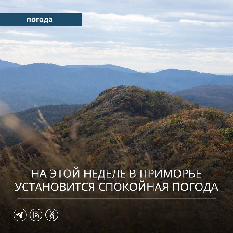 В начале недели Приморский край оказался под воздействием циклона, который перемещается над Японским морем вблизи