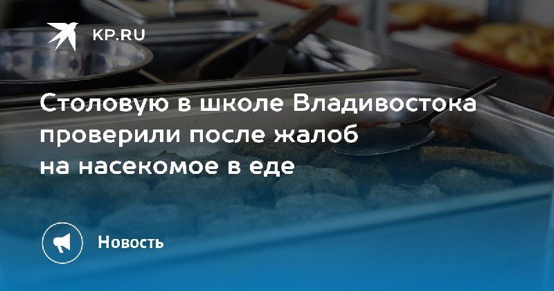 Проверка школьной столовой во Владивостоке: санитарных нарушений не нашли — КП - Владивосток