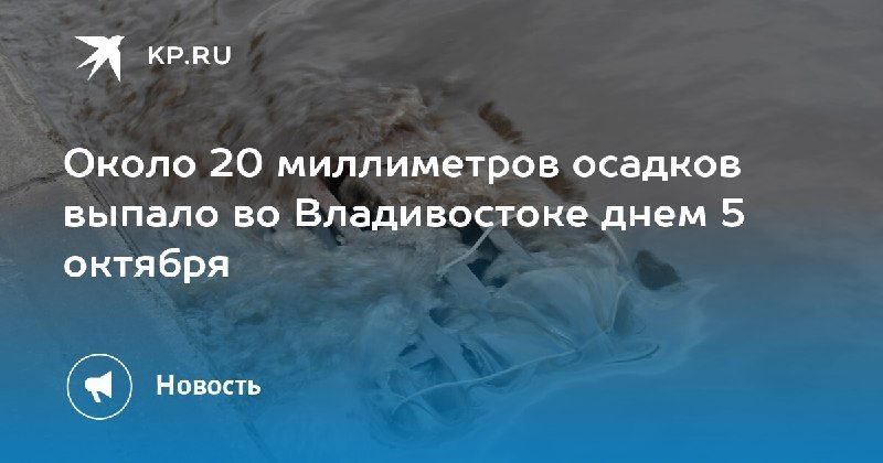 Во Владивостоке выпало 20 мм осадков — КП - Владивосток