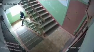 Жители дома на Бородинской жалуются на соседку, которая пачкает двери и устраивает им «сюрпризы» — ВОСТОК-МЕДИА | Владивосток и ДФО