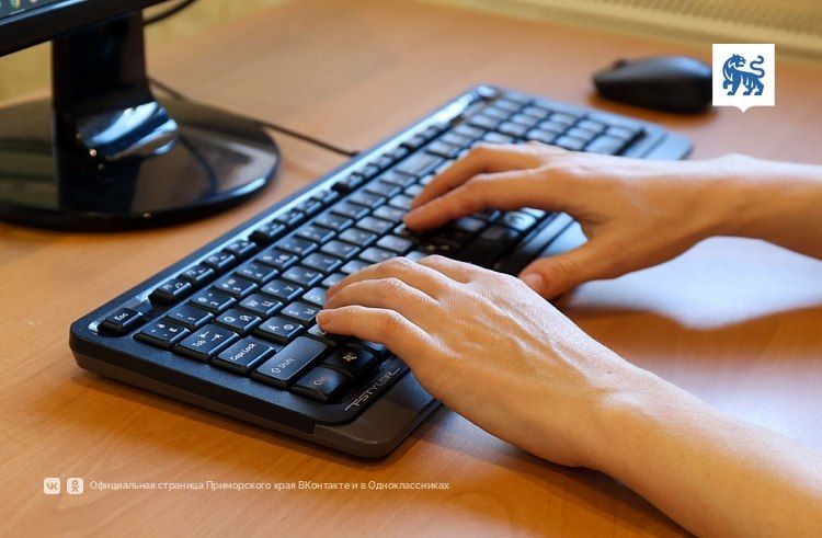Более 200 сообщений написали приморцы антитеррористическому «Оперу» в сентябре — Правительство Приморского края