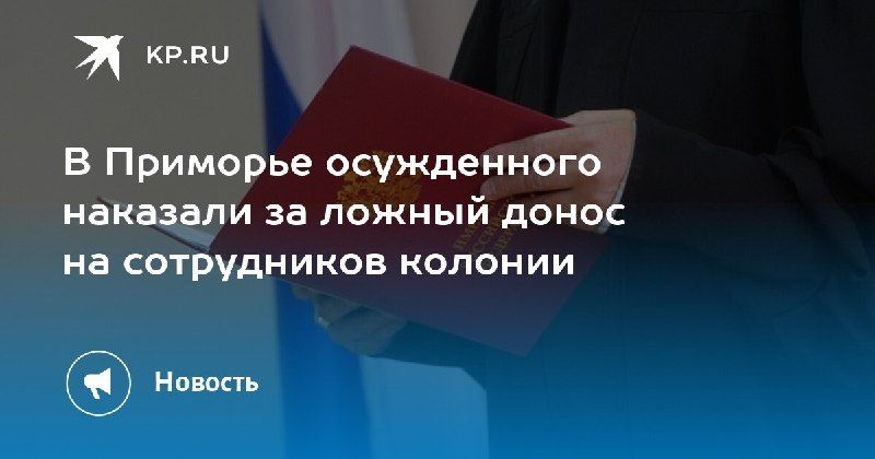 Ложный донос обернулся сроком: осужденный в Приморье получил наказание — КП - Владивосток
