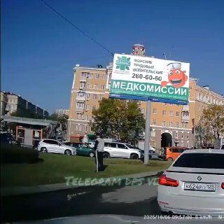 Обоссал клумбу и душил гуся на глазах водителей: неадекват устроил мерзкий перфоманс на Луговой.