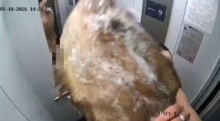 На Нейбута переевший СОЛЁНУЮ камбалу шизоид устроил дебош в лифте. — DPS VL | Владивосток