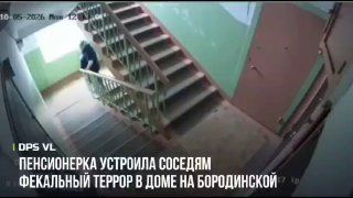 Пенсионерка устроила соседям фекальный террор в доме на Бородинской. — DPS VL | Владивосток