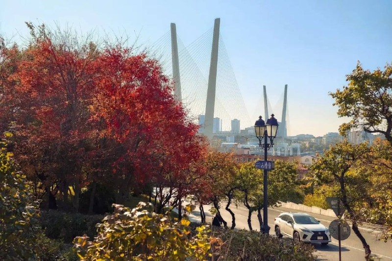 Доброе утро, Владивосток! — Администрация Владивостока