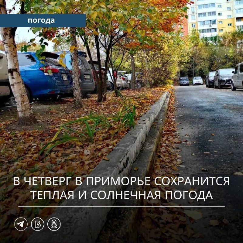 В прошедшие сутки в Приморском крае существенных осадков не наблюдалось.