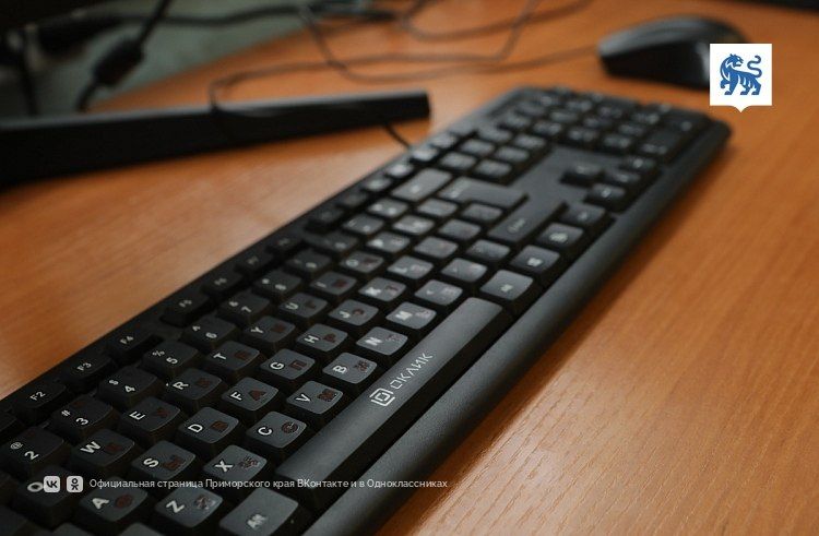 «Наркотические» интернет-ресурсы продолжают блокировать в Приморье — Правительство Приморского края