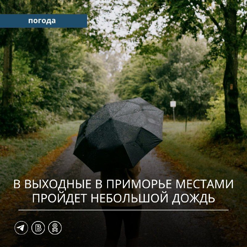 В предстоящие выходные, 10 и 11 октября, погода в Приморском крае будет меняться, однако значительных ухудшений