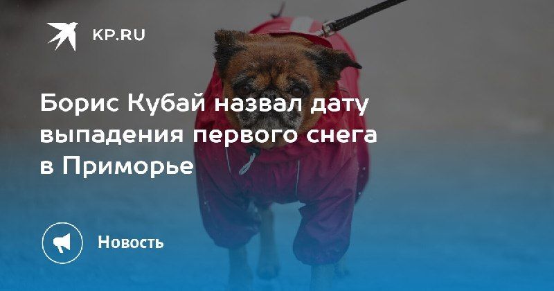 Первый снег в Приморье выпадет совсем скоро — КП - Владивосток