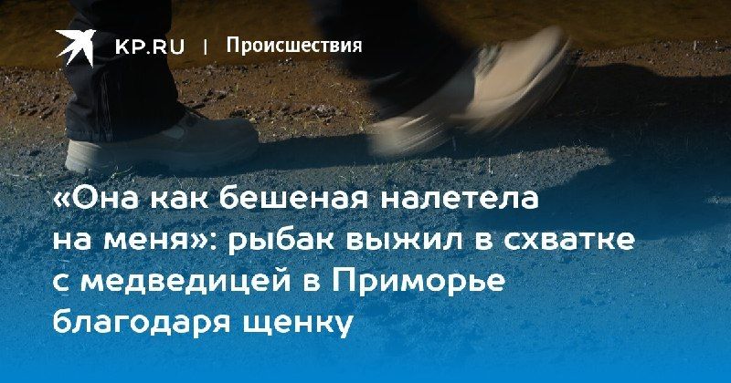 Житель Приморья выжил после нападения медведицы — КП - Владивосток