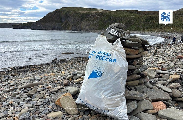 Три субботника «Вода России» пройдут во Владивостоке — Правительство Приморского края