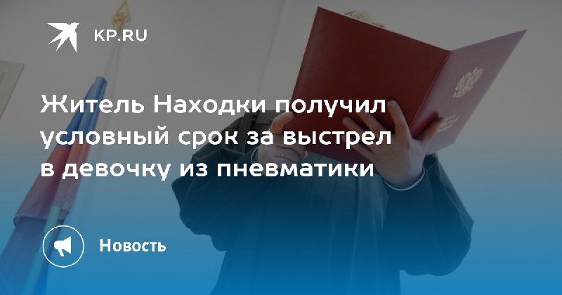Житель Находки получил условный срок за стрельбу в девочку. — КП - Владивосток
