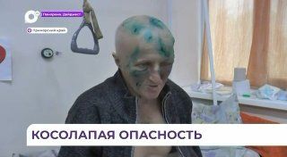Медведица набросилась на рыбака в Приморье — мужчина чудом выжил. — DPS VL | Владивосток