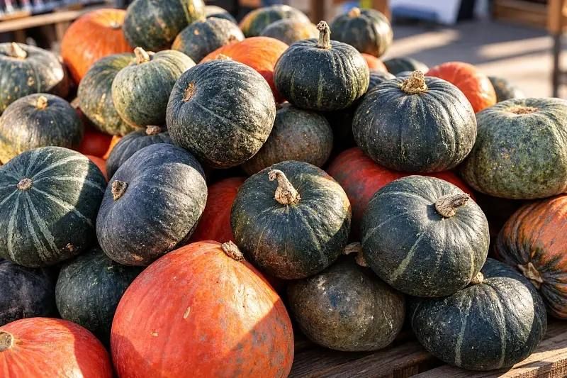 Во Владивостоке работают сезонные продуктовые площадки «Дары осени».