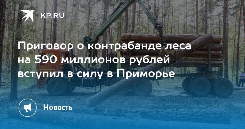 Приговор по делу о контрабанде леса в Приморье: 590 миллионов рублей — КП - Владивосток