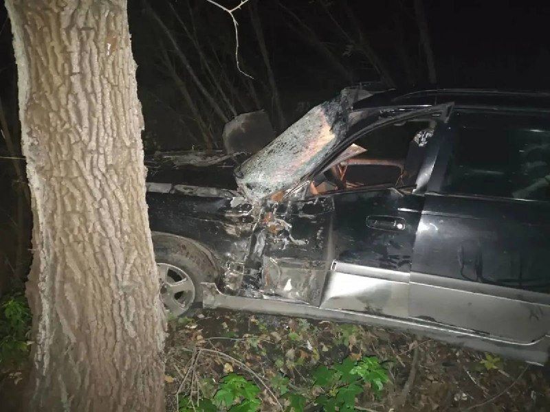 Пьяный подросток врезался на машине в дерево в Партизанске, пострадали два человека