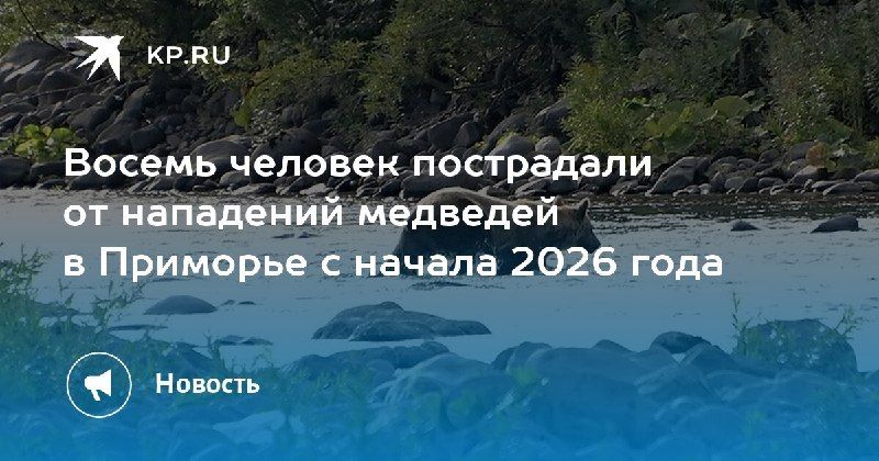 В Приморье с начала 2026 года зафиксировано восемь нападений медведей на людей — КП - Владивосток