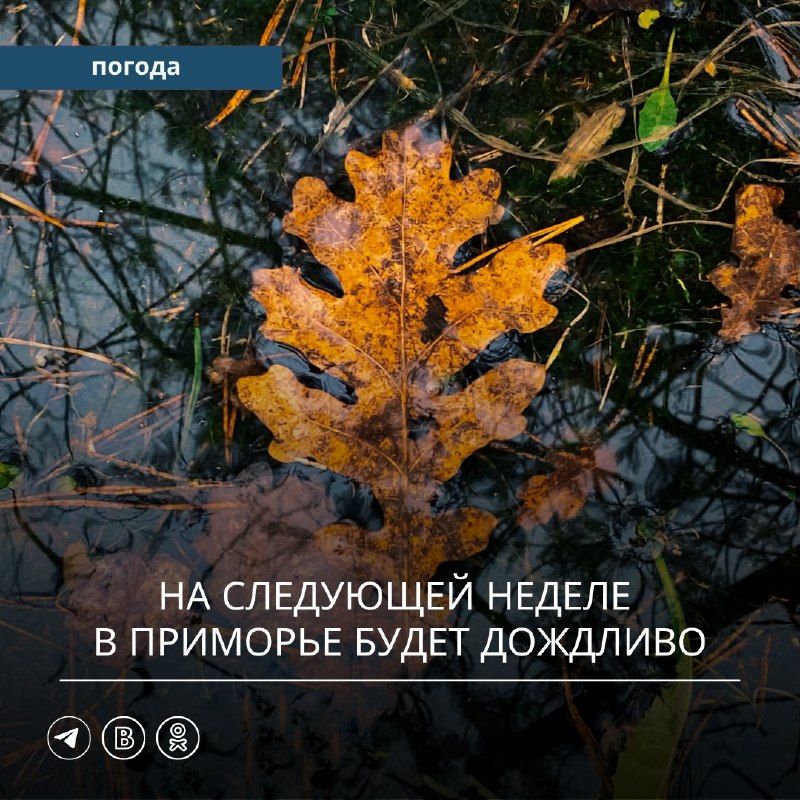 Начало следующей недели в Приморском крае будет относительно тёплым, но уже со вторника погодные условия начнут