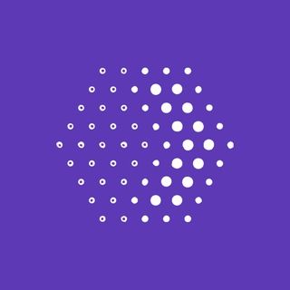 Во Владивостоке ищут админа канала, где травили школьников и призывали к насилию — ВОСТОК-МЕДИА | Владивосток и ДФО