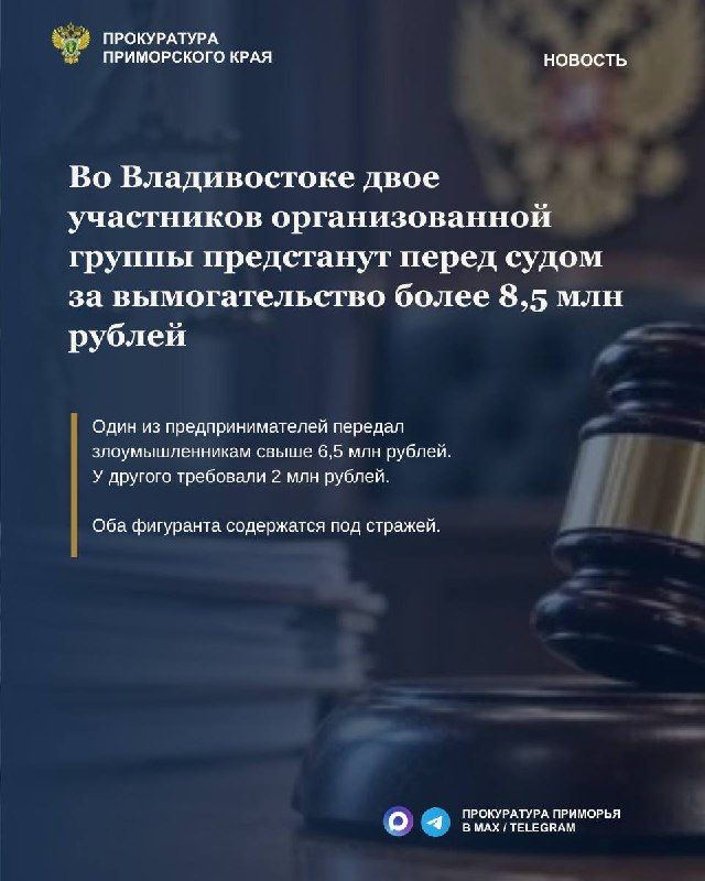 Во Владивостоке двое участников организованной группы предстанут перед судом по делу о вымогательстве более 8,5 млн