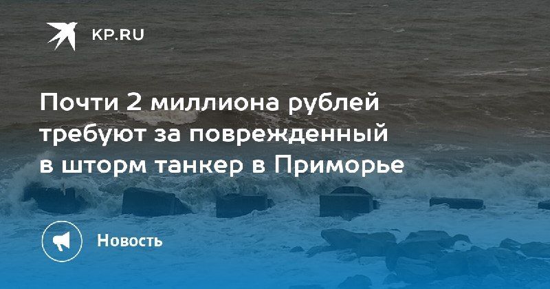 Транспортная компания подала в суд, требуя компенсацию за ущерб, причиненный столкновением судов — КП - Владивосток