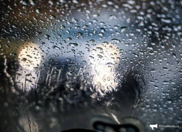 До +24°C и немного дождей: какая погода ждет Приморье в предстоящие выходные — ПРОГНОЗ — PrimaMedia.Приморье