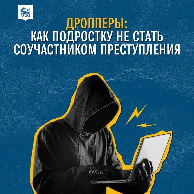 Ответственность за дропперство — Полиция Приморья