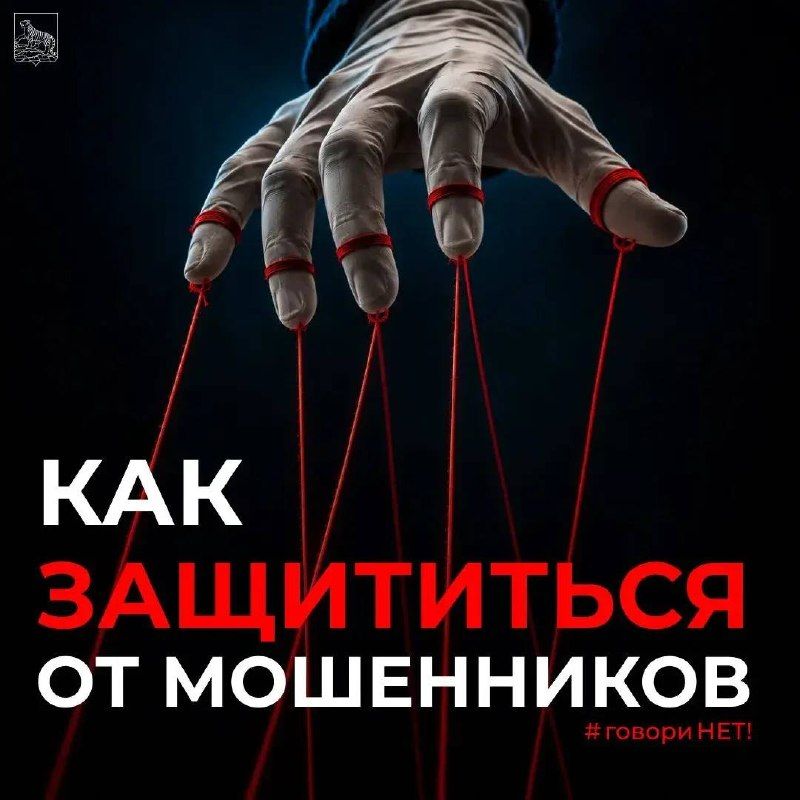 В современном мире, где технологии развиваются стремительно, мошенники становятся всё более изобретательными. — Администрация Владивостока