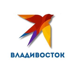 Прокуратура начала проверку после ДТП со скорой помощью в Находке — КП - Владивосток
