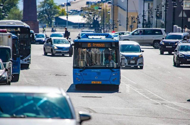 Чат-бот о работе общественного транспорта во Владивостоке запущен в мессенджере MAX. — Администрация Владивостока