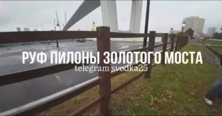 Во Владивостоке школьники вскарабкались на пилон Золотого моста и записали видео
