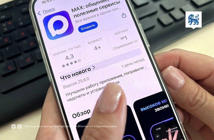 От «коммунальных» вопросов до поддержки семей участников СВО: решите свой вопрос через онлайн-приёмную «Единой России» — Правительство Приморского края