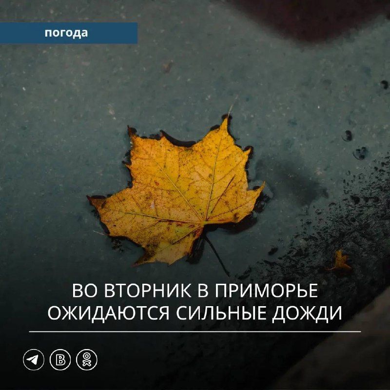 Прошедшие выходные в Приморском крае были сухими и тёплыми.