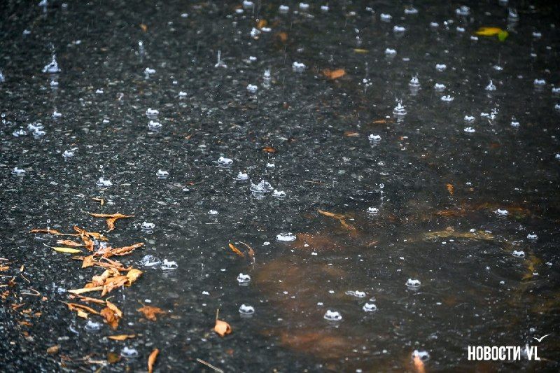 Во Владивостоке завтра ожидается сильный дождь, объявлено штормовое предупреждение — Новости VL.ru | Владивосток