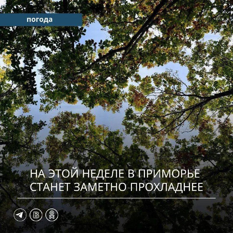 На наступившей неделе синоптическая обстановка на юге Дальнего Востока будет неустойчивой.