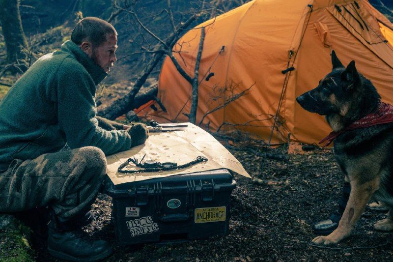 "Сердце зверя": когда собака играет лучше Брэда Питта — PrimaMedia.Приморье
