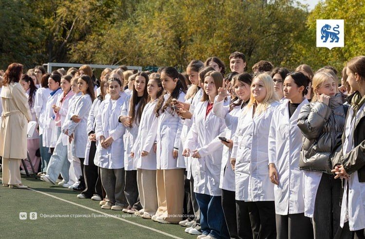 1693 первокурсника начали осваивать медицинские специальности в колледже Приморья — Правительство Приморского края