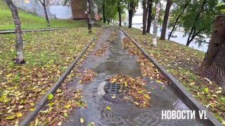 Осенняя зарисовка «Ливнёвка и листва». — Новости VL.ru | Владивосток
